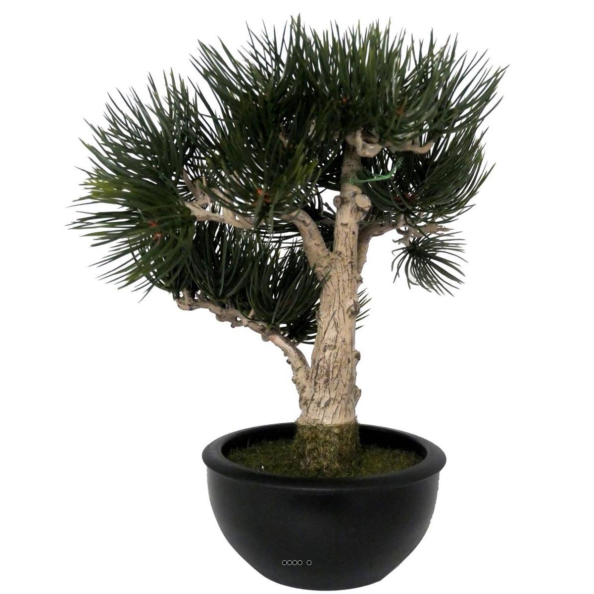 Bonsai Pin artificiel H 33 cm 43 touffes v002239, ARTIFICIELLES