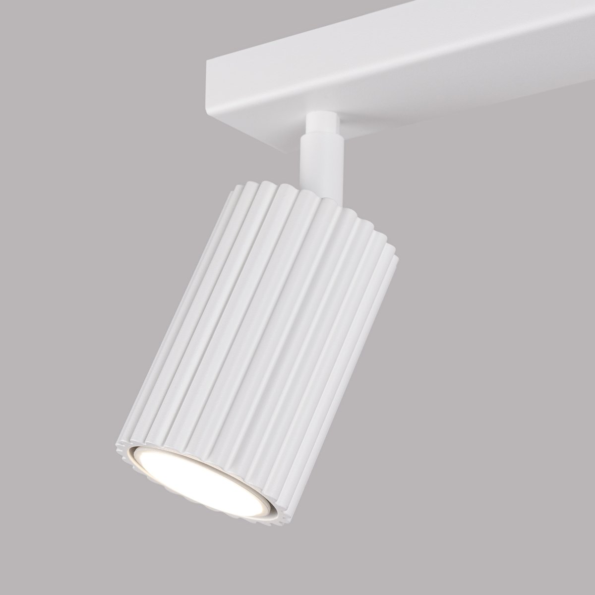 Plafonnier Aluminium Blanc GU10 2 Karbon blanc, EDEN