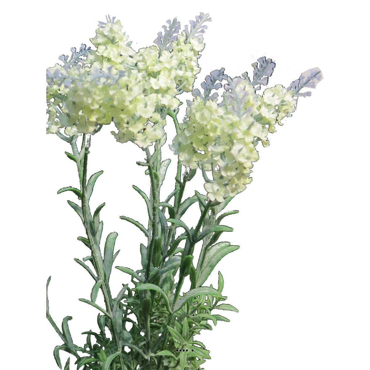 Lavande artificielle en tige, 10 ramures crème, ARTIFICIELLES