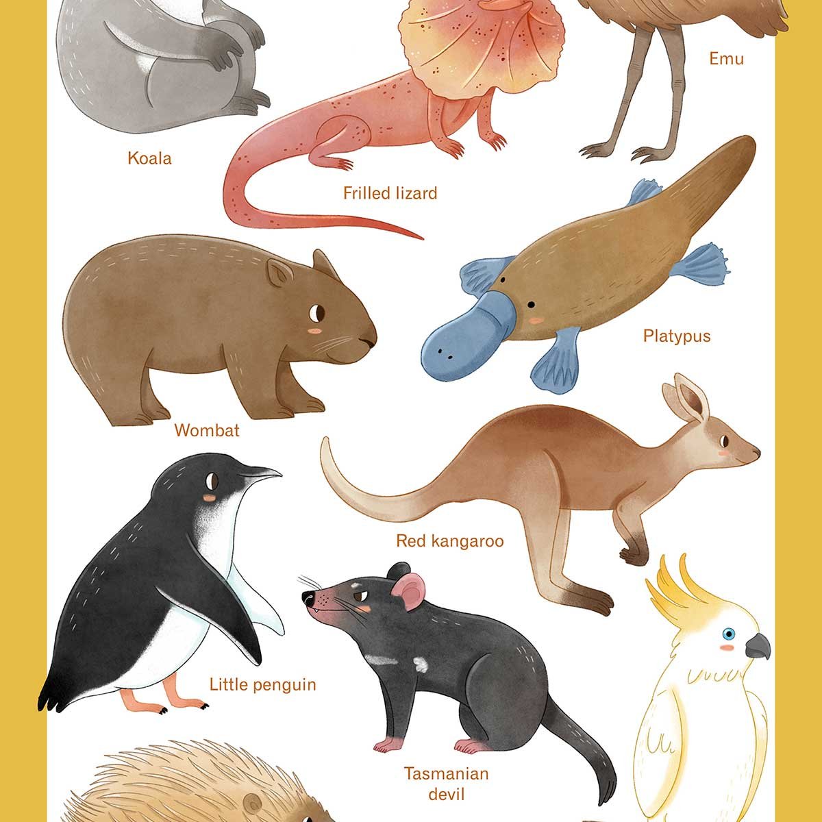 Affiche enfant animaux d' australie affiche seule, HEXOA