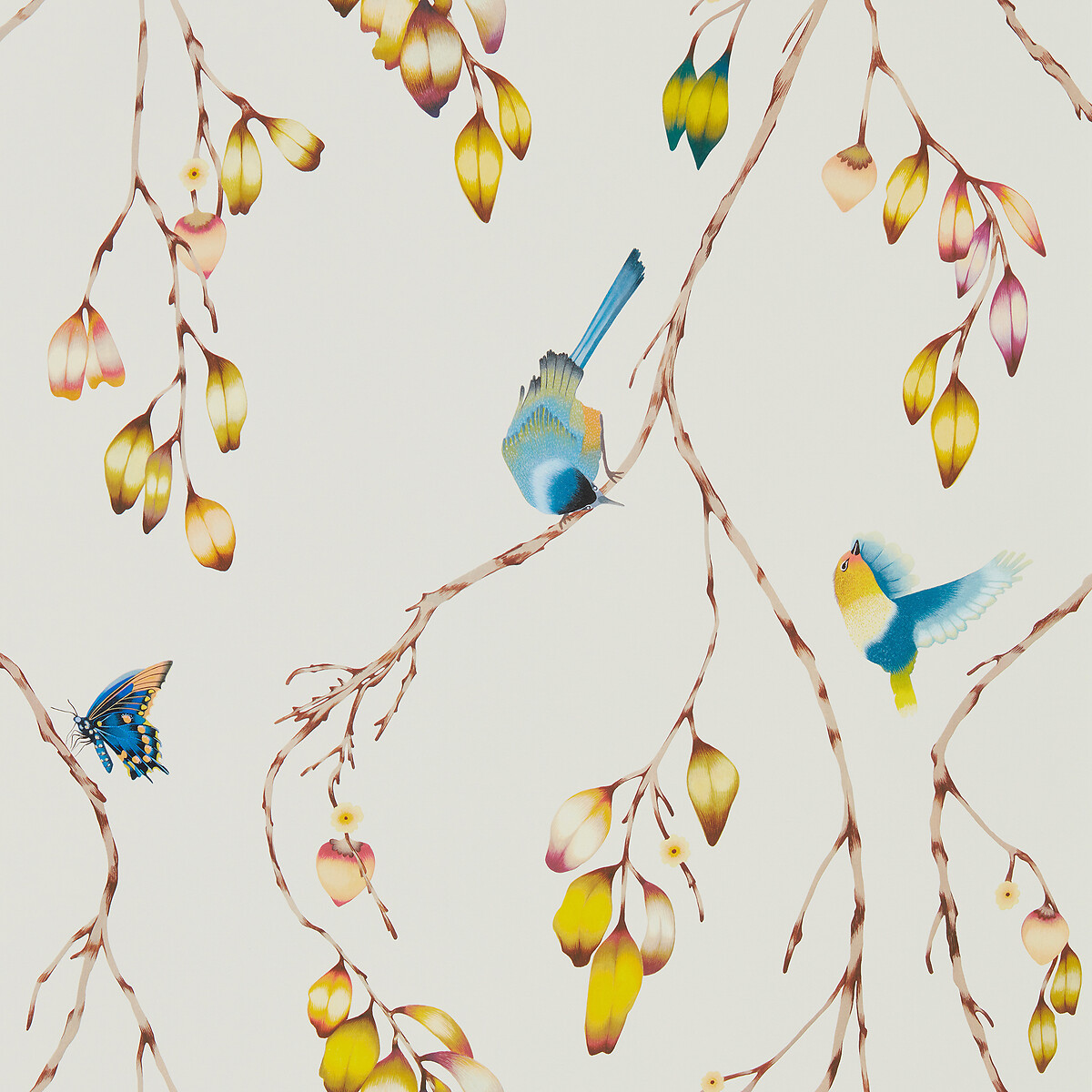 Iyanu Wallpaper papaya, HARLEQUIN