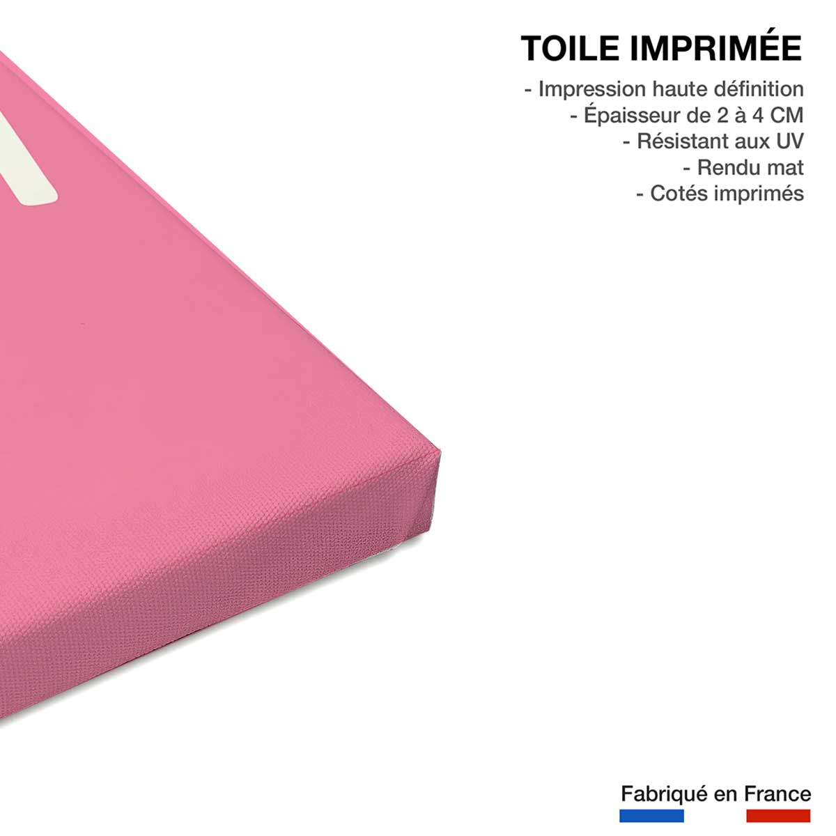 Tableau licorne rose toile imprimée, HEXOA
