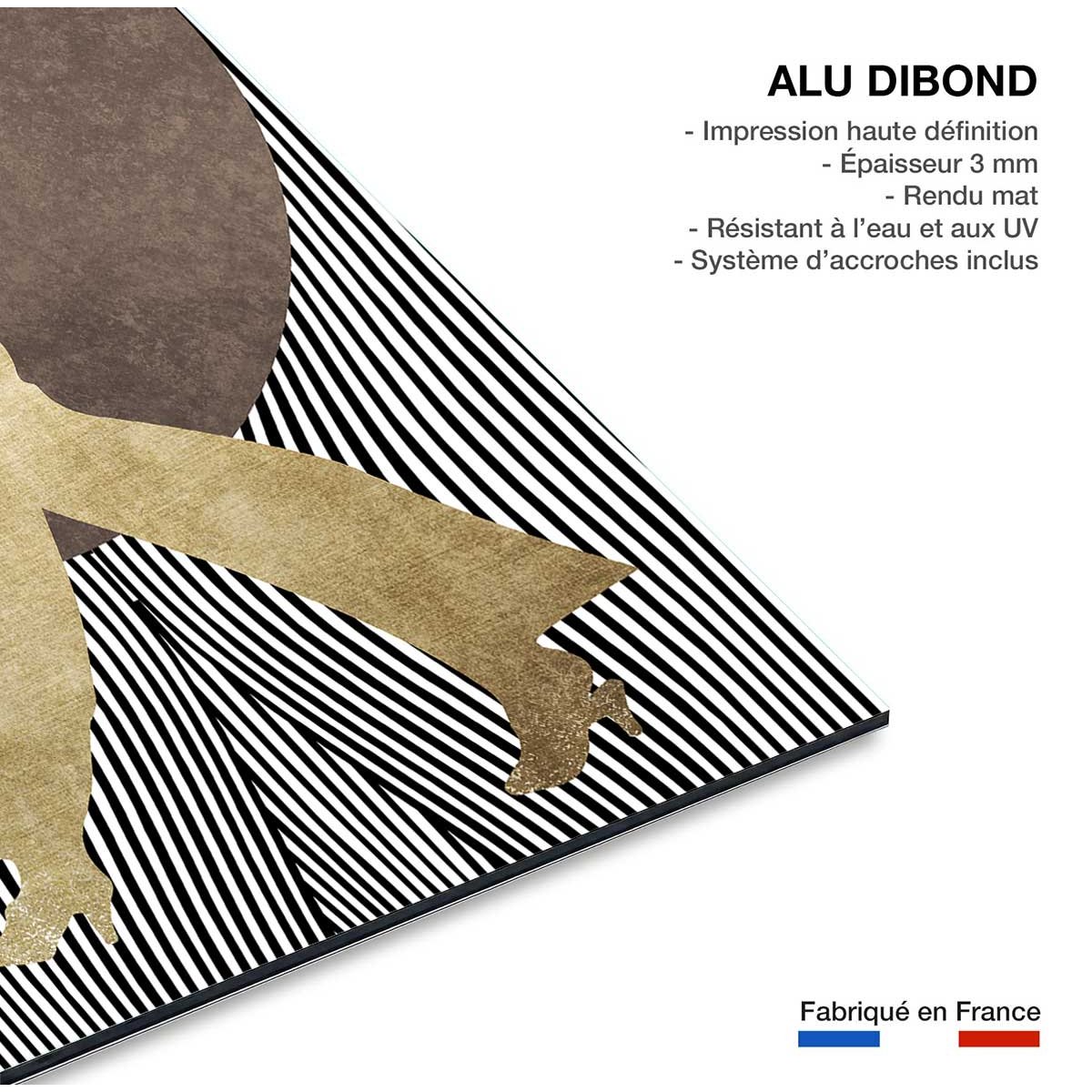 Tableau silhouette femme à chapeau tableau alu dibond, HEXOA