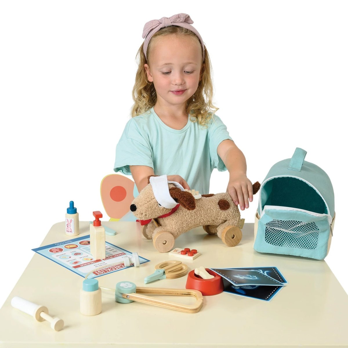 Kit transport vétérinaire multicolore, TENDER LEAF TOYS