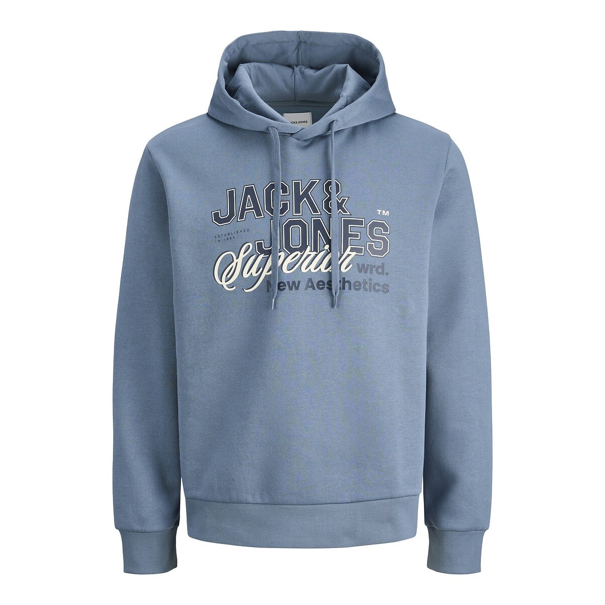 Sweat à capuche logo bleu, JACK & JONES