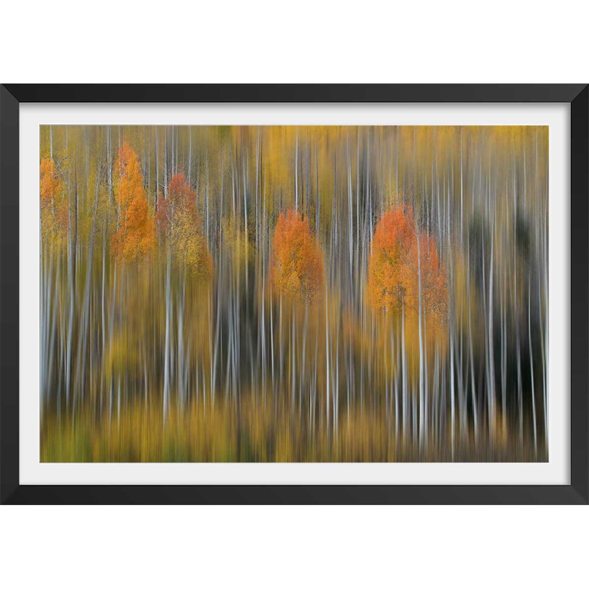 Affiche forêt et Impression d'automne affiche + cadre en bois - noir, HEXOA
