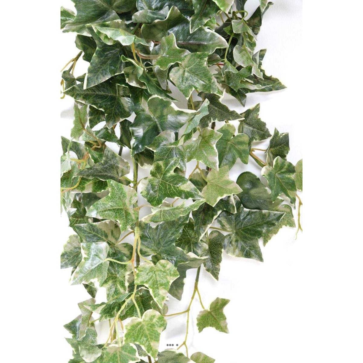 Lierre artificiel Hedera Helix en chute H 80 blanc-vert, ARTIFICIELLES