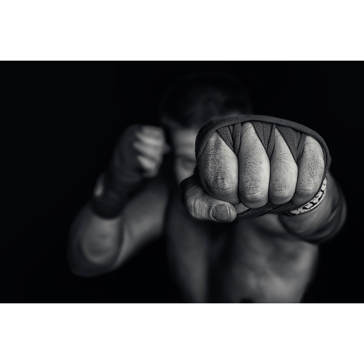 Tableau boxe left wing tableau alu dibond, HEXOA