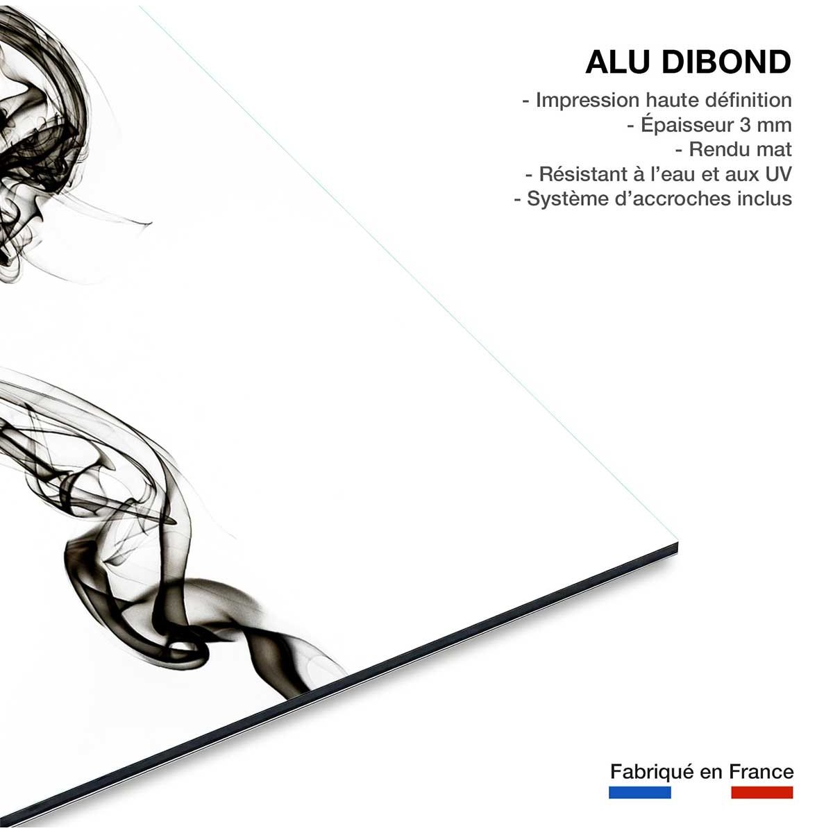 Tableau black smoke medusa tableau alu dibond, HEXOA