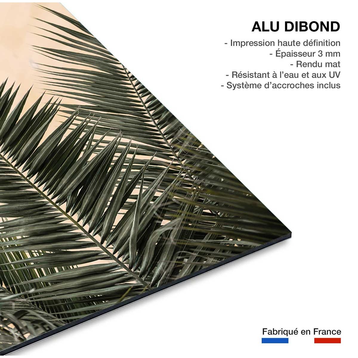 Tableau sandy palme tableau alu dibond, HEXOA