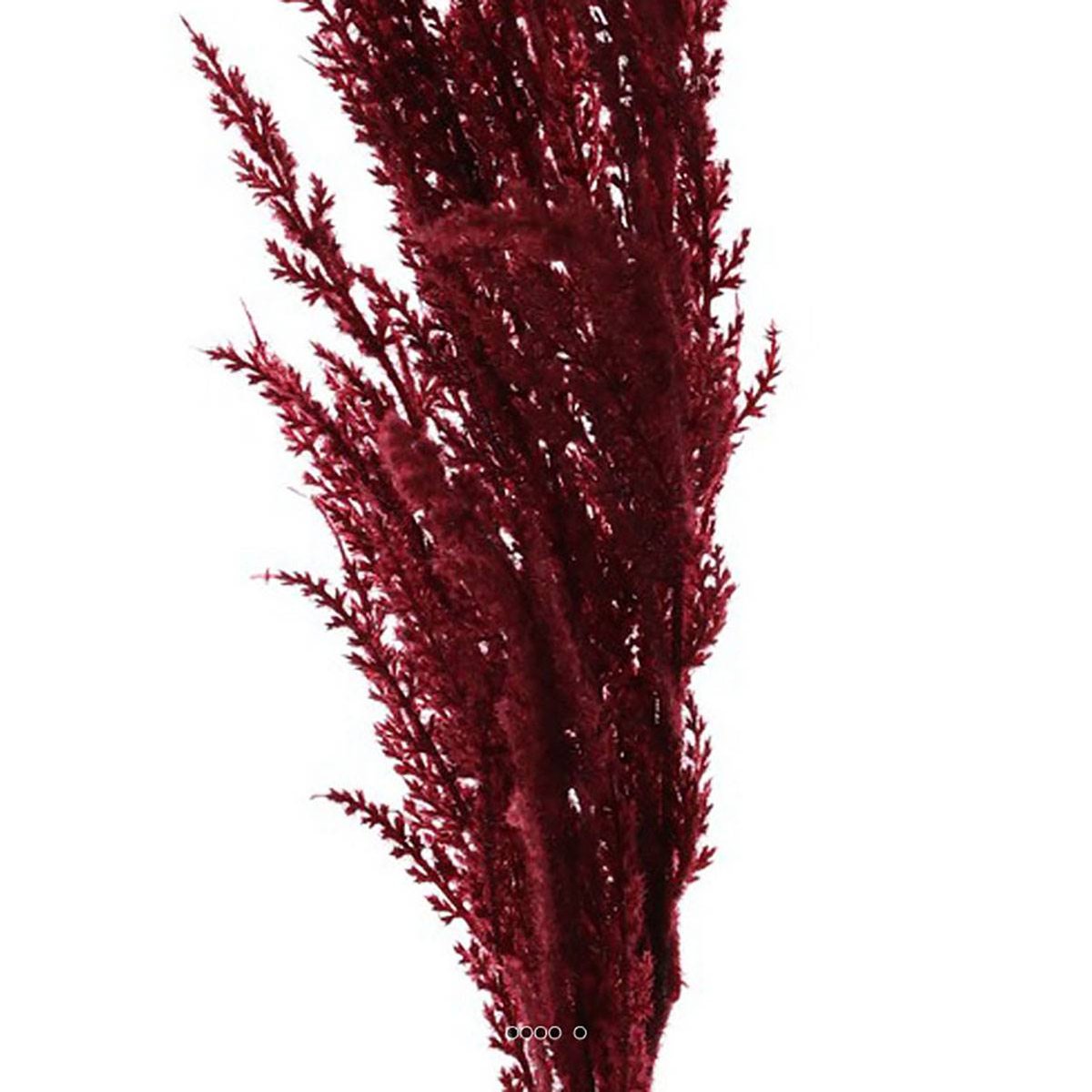 Magnifique fausse herbe de pampa grande tige pourpre, ARTIFICIELLES
