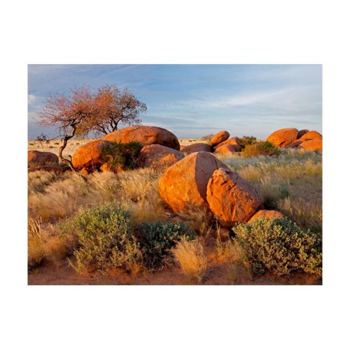 Papier peint intissé panoramique Paysage Paysage africain, Namibie beige, EDEN