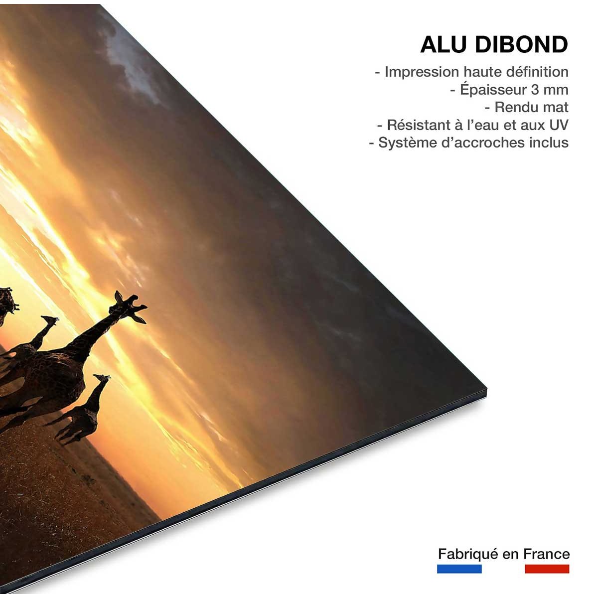 Tableau animaux girafe family tableau alu dibond, HEXOA