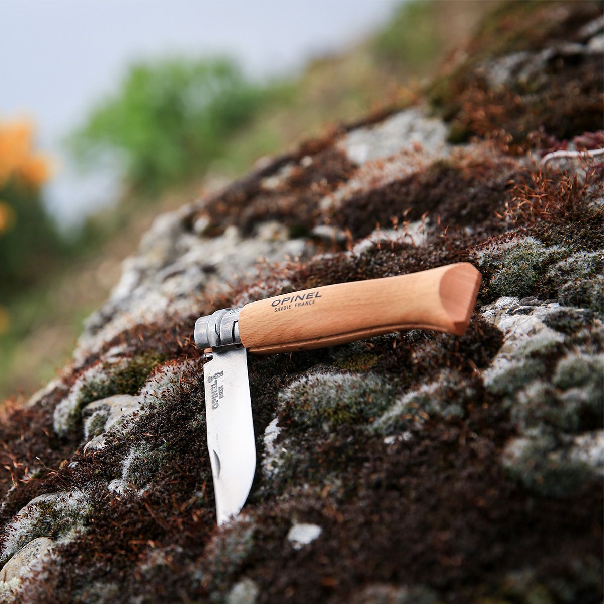 Couteau No 08 Inox hêtre tradition marron, OPINEL