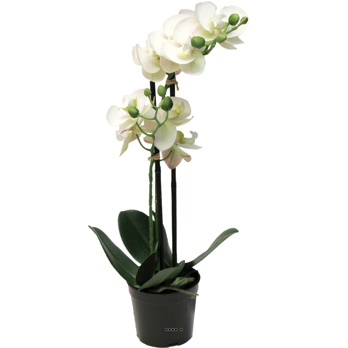 Orchidée Phalaenopsis factice en pot quali crème, ARTIFICIELLES