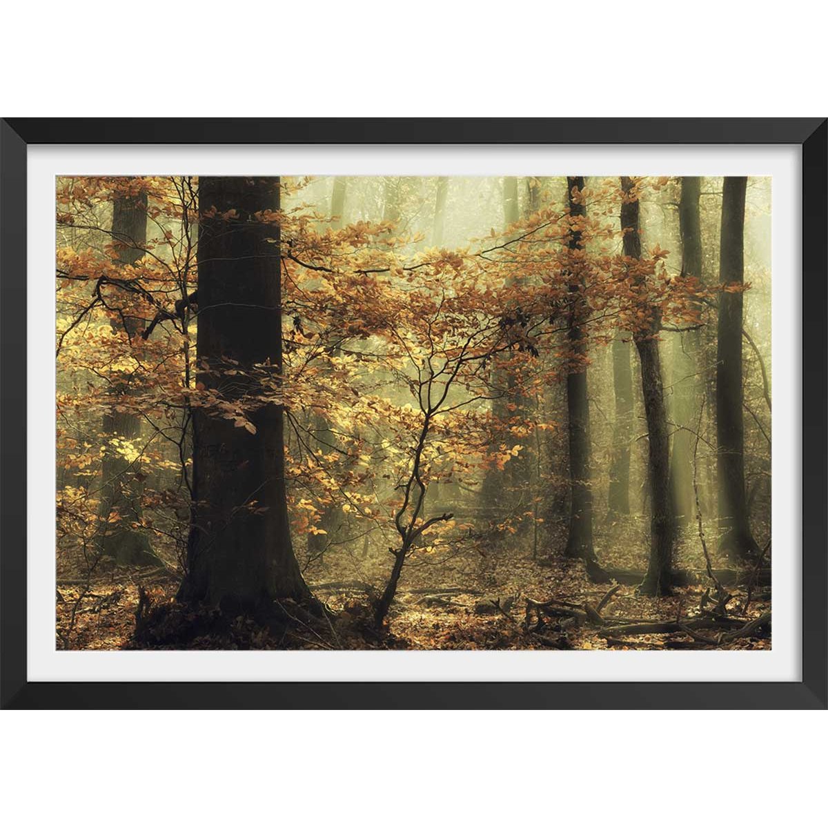 Affiche ""les feuilles d'automne"" affiche + cadre en bois - noir, HEXOA