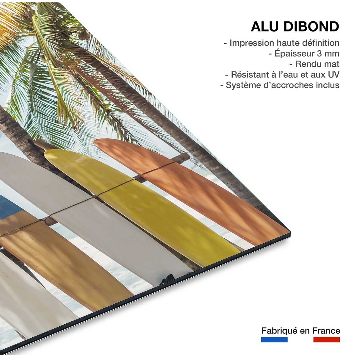 Tableau surf surf et coconut tableau alu dibond, HEXOA