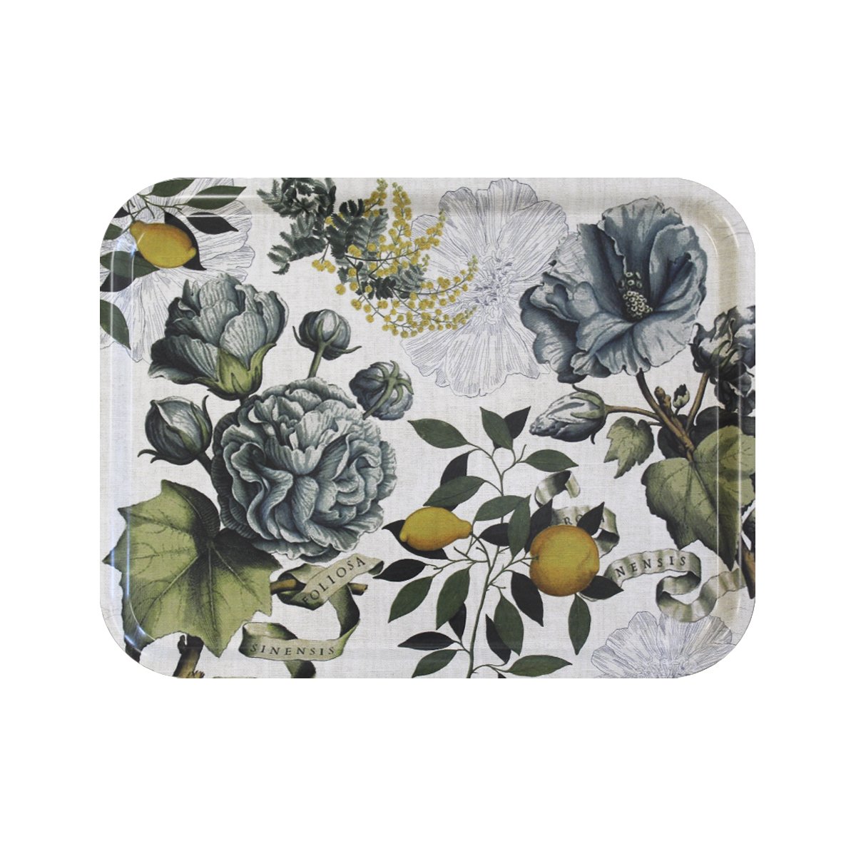 Plateau bois rectangulaire naturel, GARNIER THIEBAUT