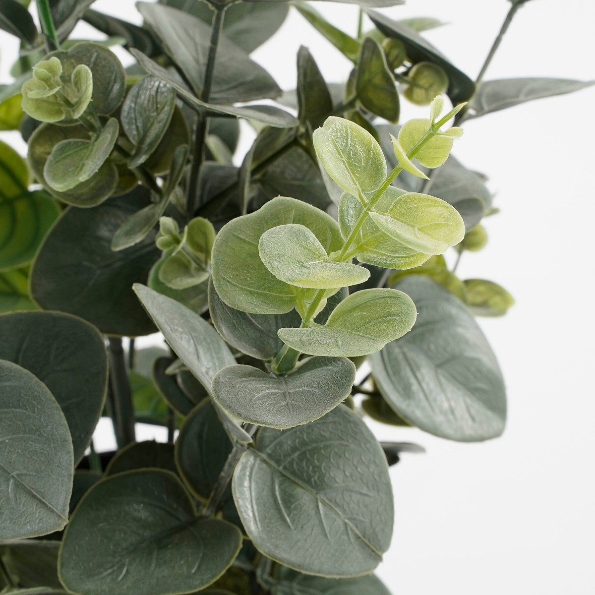 Plante artificielle EUCALYPTUS vert, MICA DECORATIONS