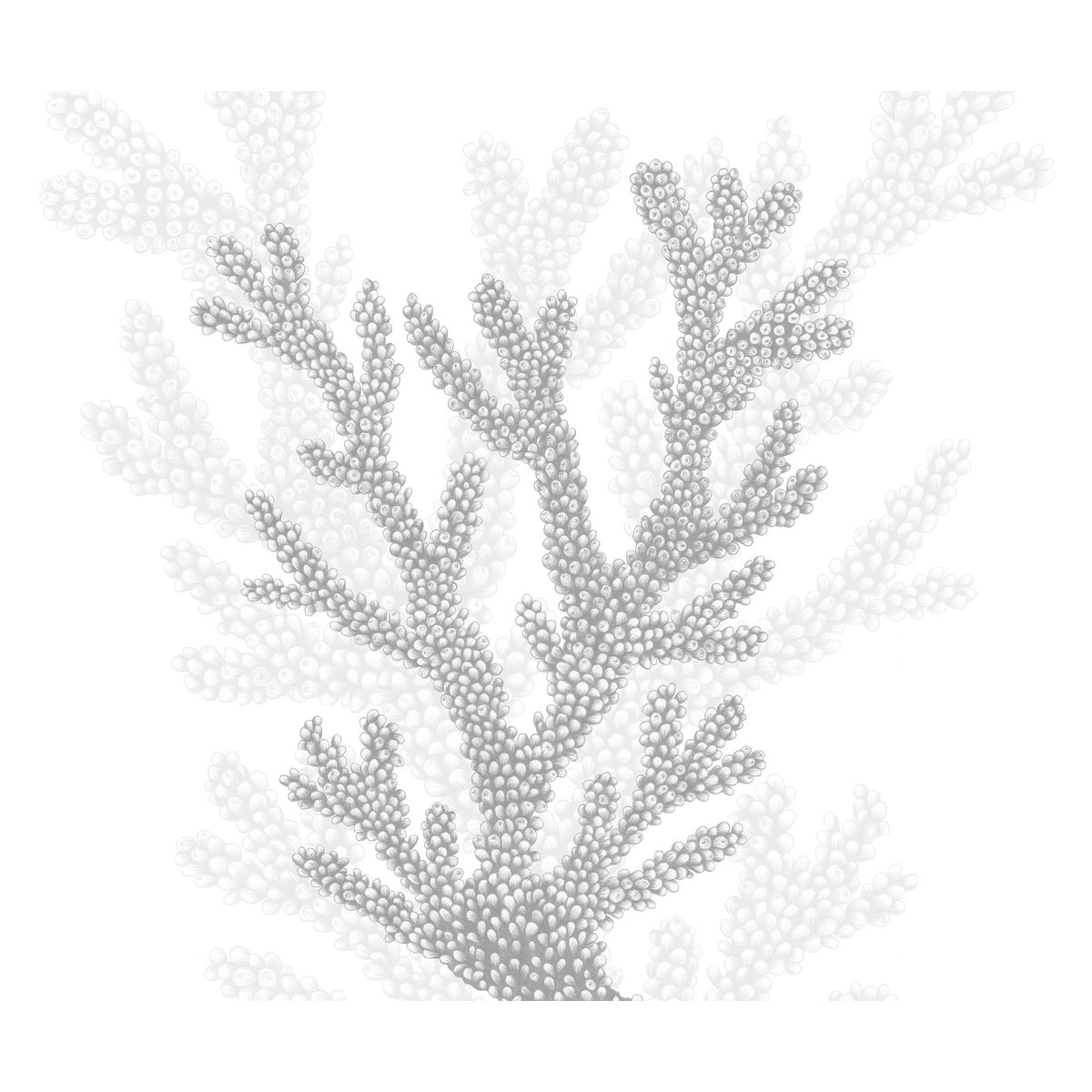 Papier peint panoramique Corail, Beige 150 x 250cm gris, ACTE DECO