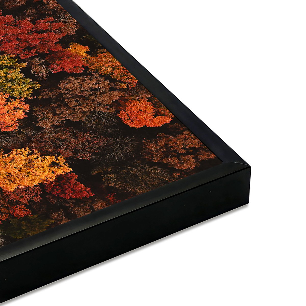 Affiche encadrée Forêt d’automne en plongée verticale affiche + cadre en métal - noir, HEXOA