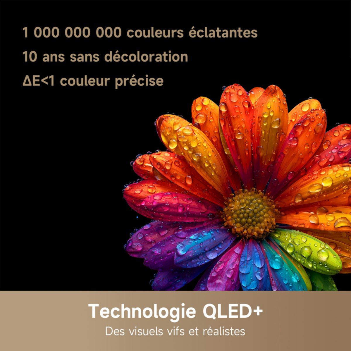 TV QLED 75Q100 (2026) 75" (190 cm) couleur unique, DREAME