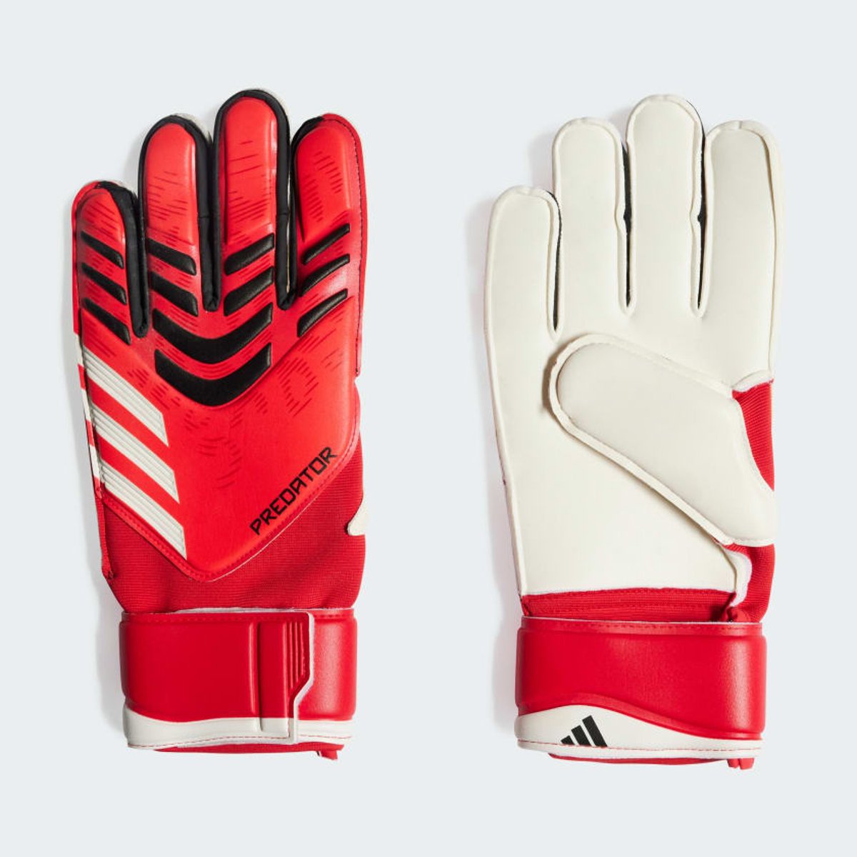 Gants de gardien Predator Match pure ruby / lucid red / black, adidas Performance
