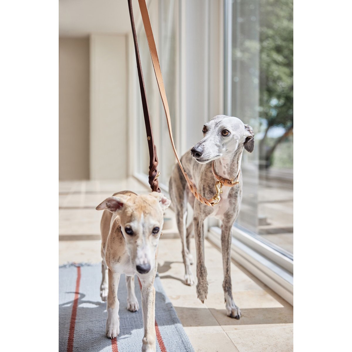 Laisser seul en cuir pour chien LIVING brun, OYOY LIVING DESIGN