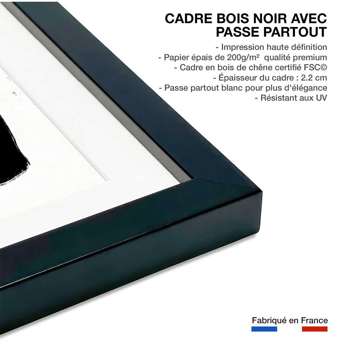 Illustration Botanique et Poterie azteque affiche + cadre en bois - noir, HEXOA