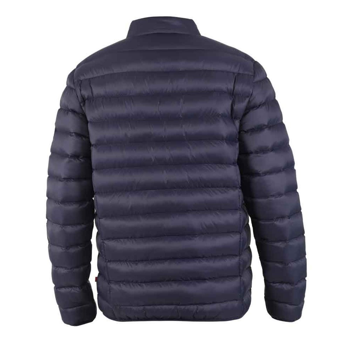 Doudoune unie à col montant grande taille ROWLAND bleu marine, DUKE