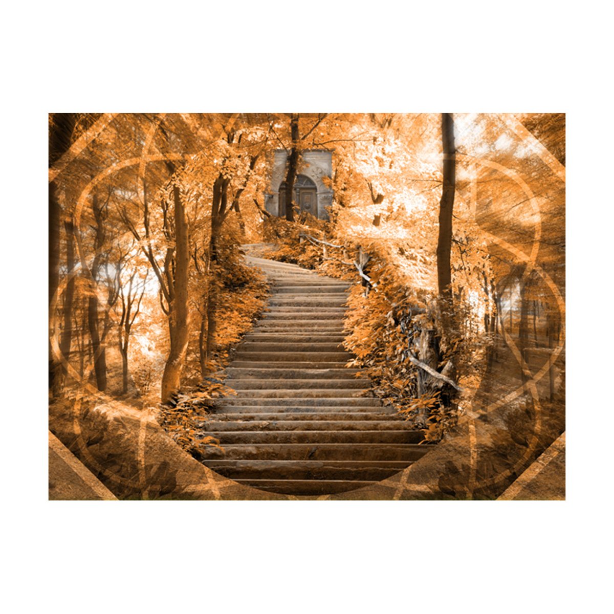 Papier peint intissé panoramique Fantaisie Stairs to paradise multicouleur, EDEN
