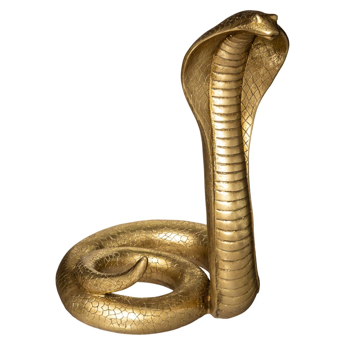 Serpent cobra doré, ATMOSPHERA