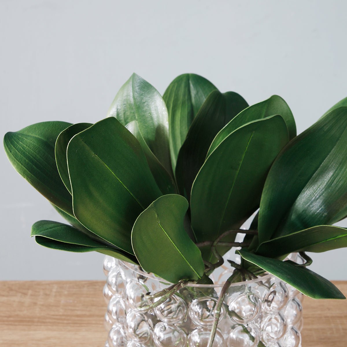Piquet de feuilles d'orchidée artificielles H22 vert, SIA DECO