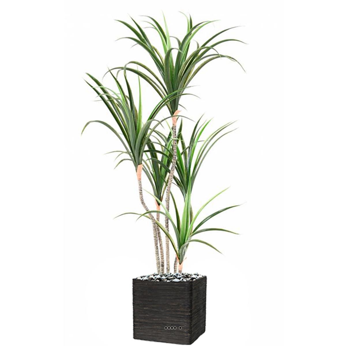 Dracaena marginata artificiel en pot H 130 cm v002239, ARTIFICIELLES