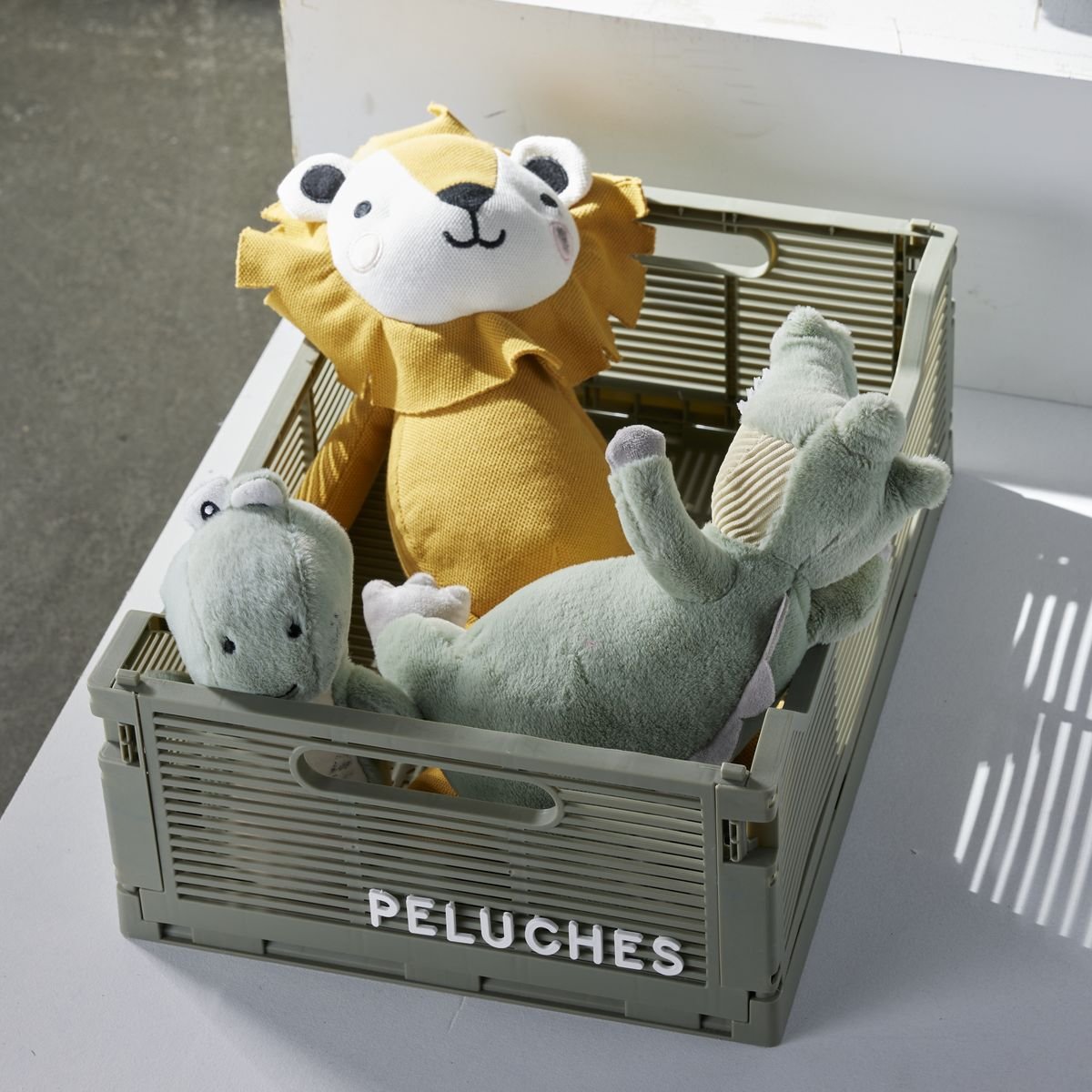 Caisse pliable en plastique LE ROI DE LA JUNGLE gris, FACTORY