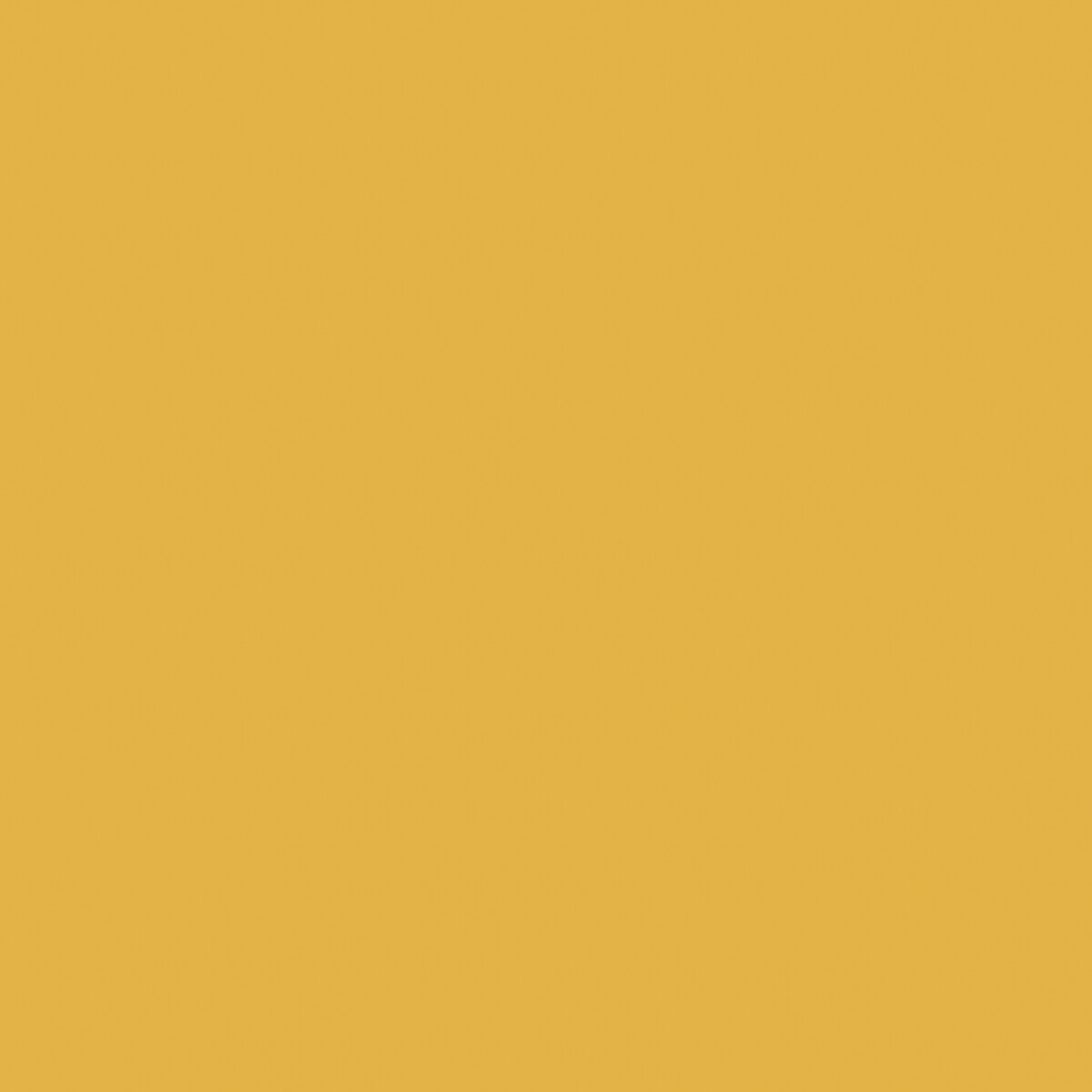 Active Emulsion Paint Papavera papavera, SANDERSON
