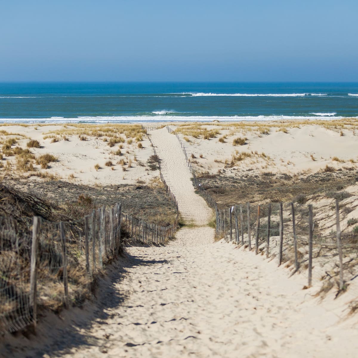 Tableau Mural Plage Salie Sud PLAGE tableau en verre, CEANOTHE