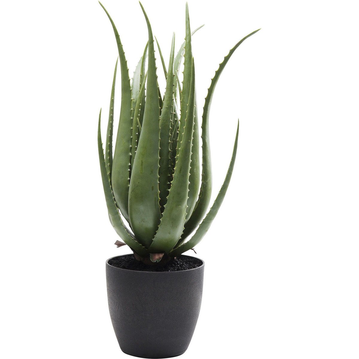 Plante décorative Aloe vert, KARE DESIGN