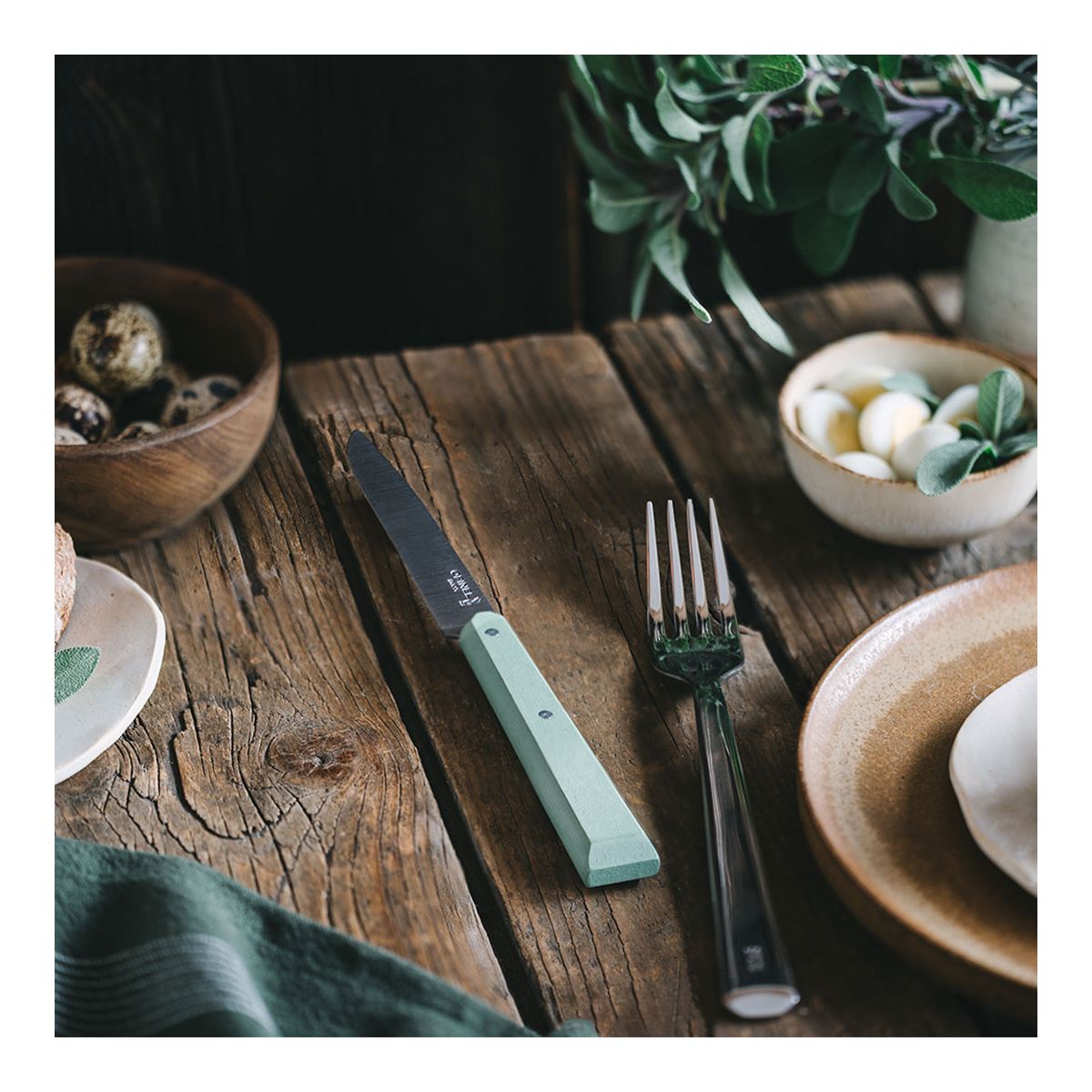 Set de couteaux Coffret 4pcs Bon Appetit Sauge couleur unique, OPINEL