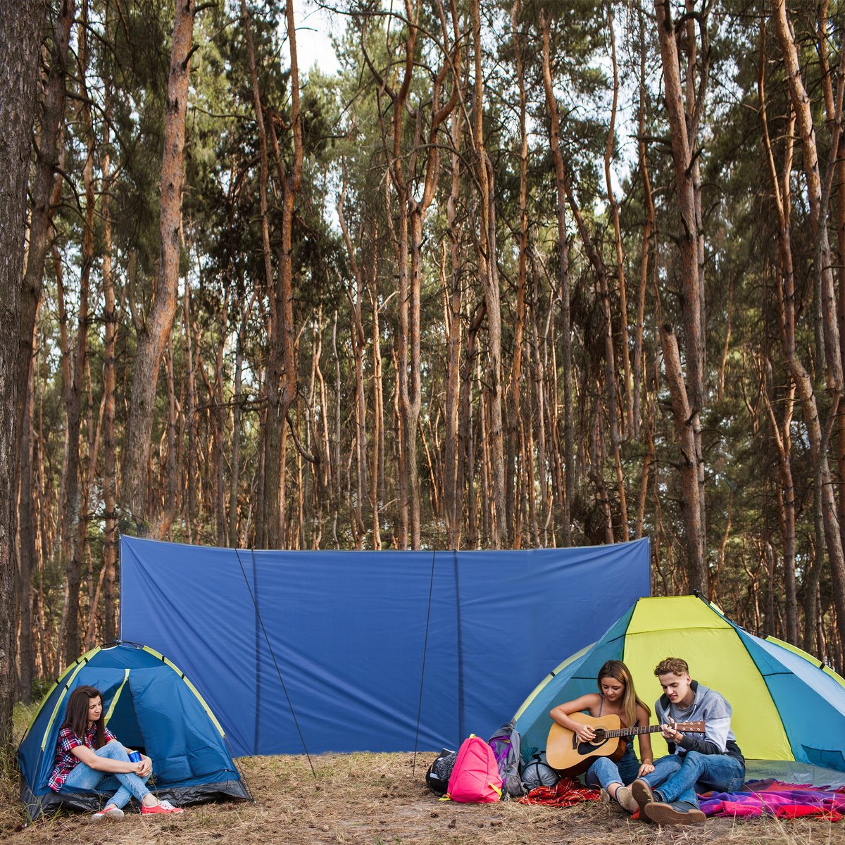 Brise-vent de camping Polyester Bleu bleu, OUTSUNNY