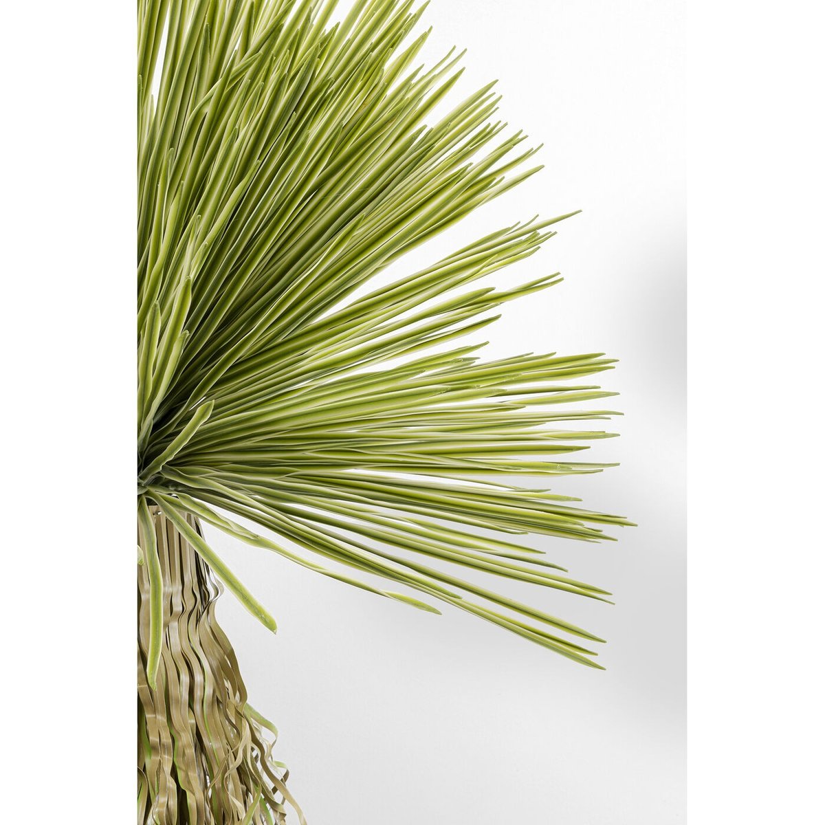 Plante décorative Yucca vert, KARE DESIGN