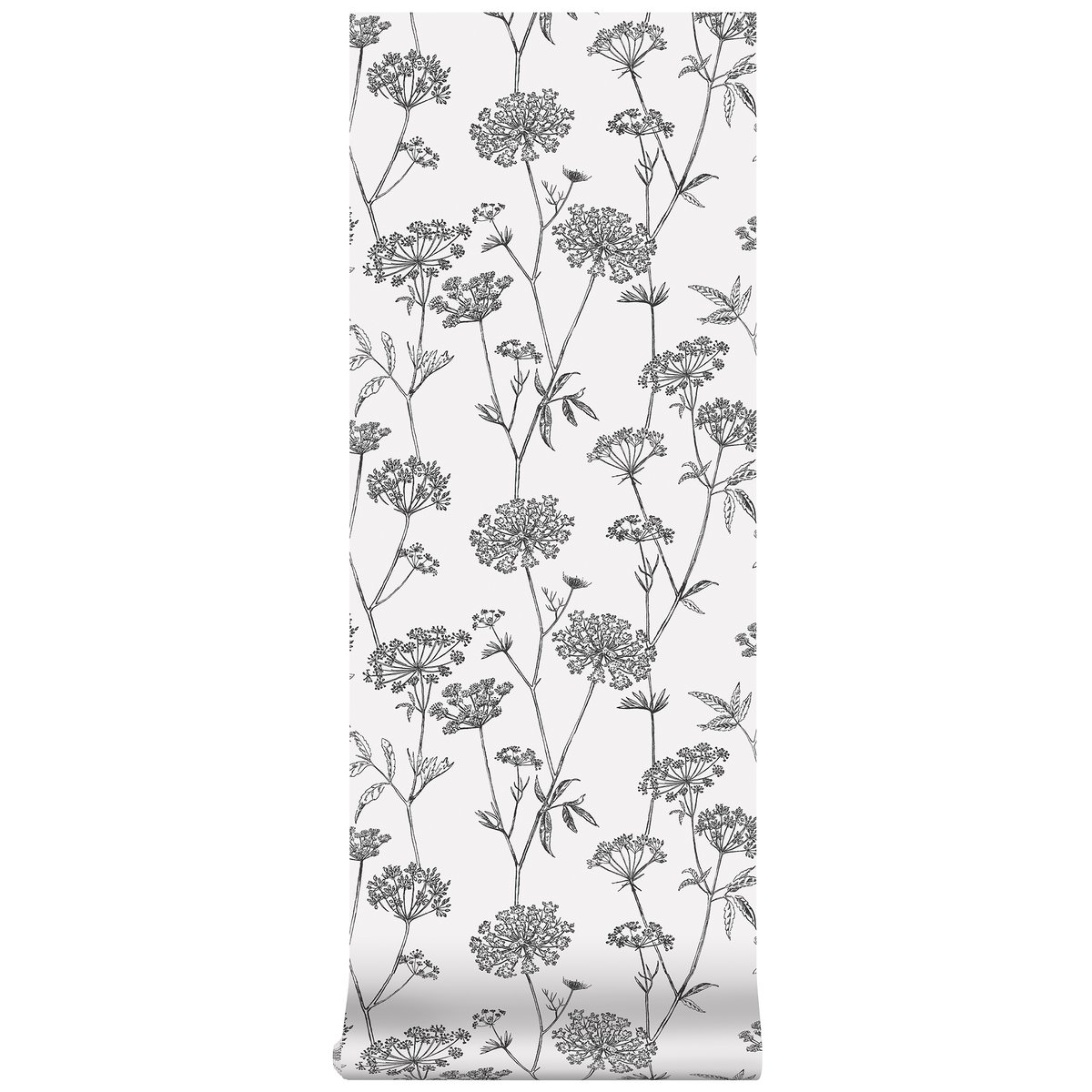 Papier peint Fleurs Gravure noir, SUPERFRESCO EASY