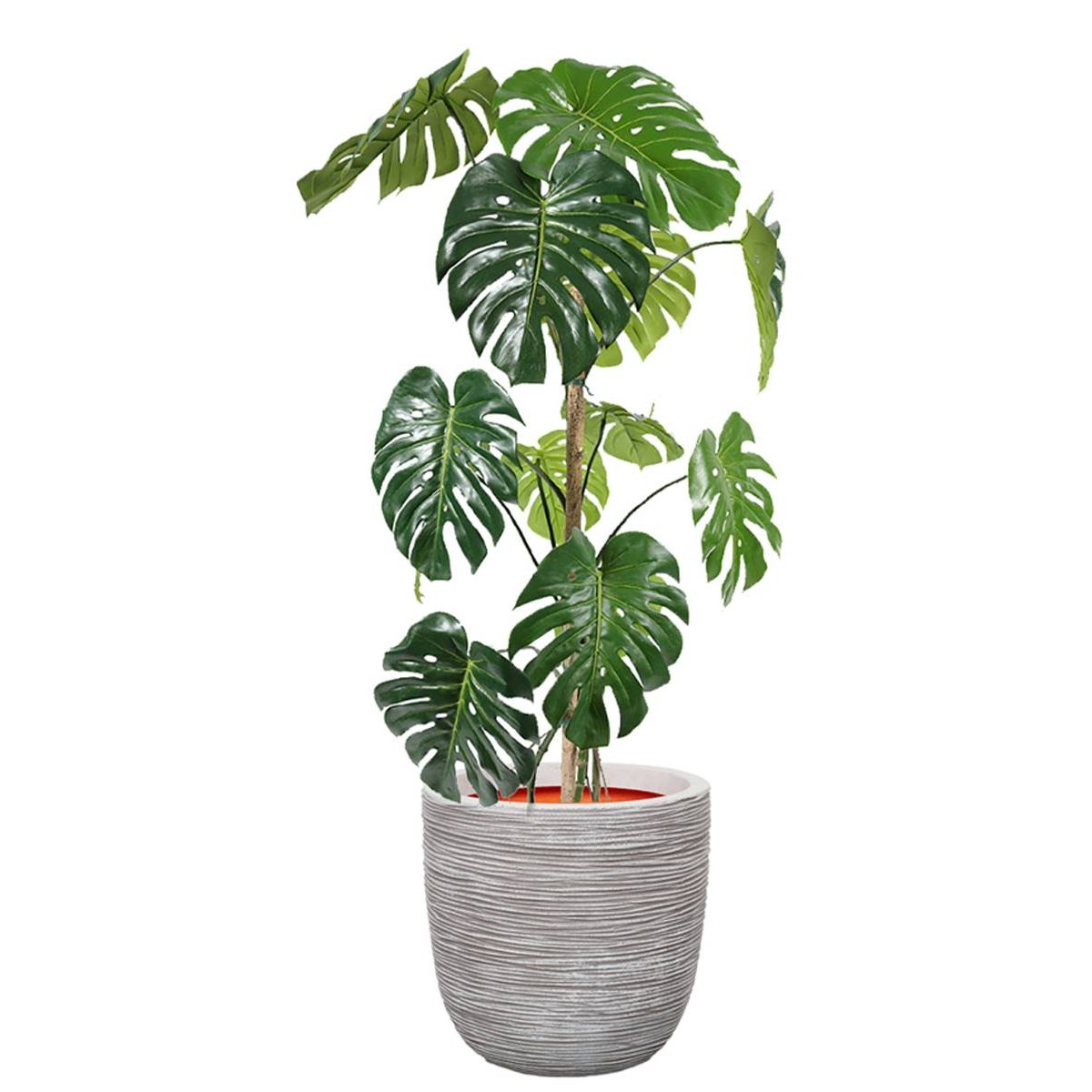 Monstera deliciosa artificielle, sur pied gris, ARTIFICIELLES