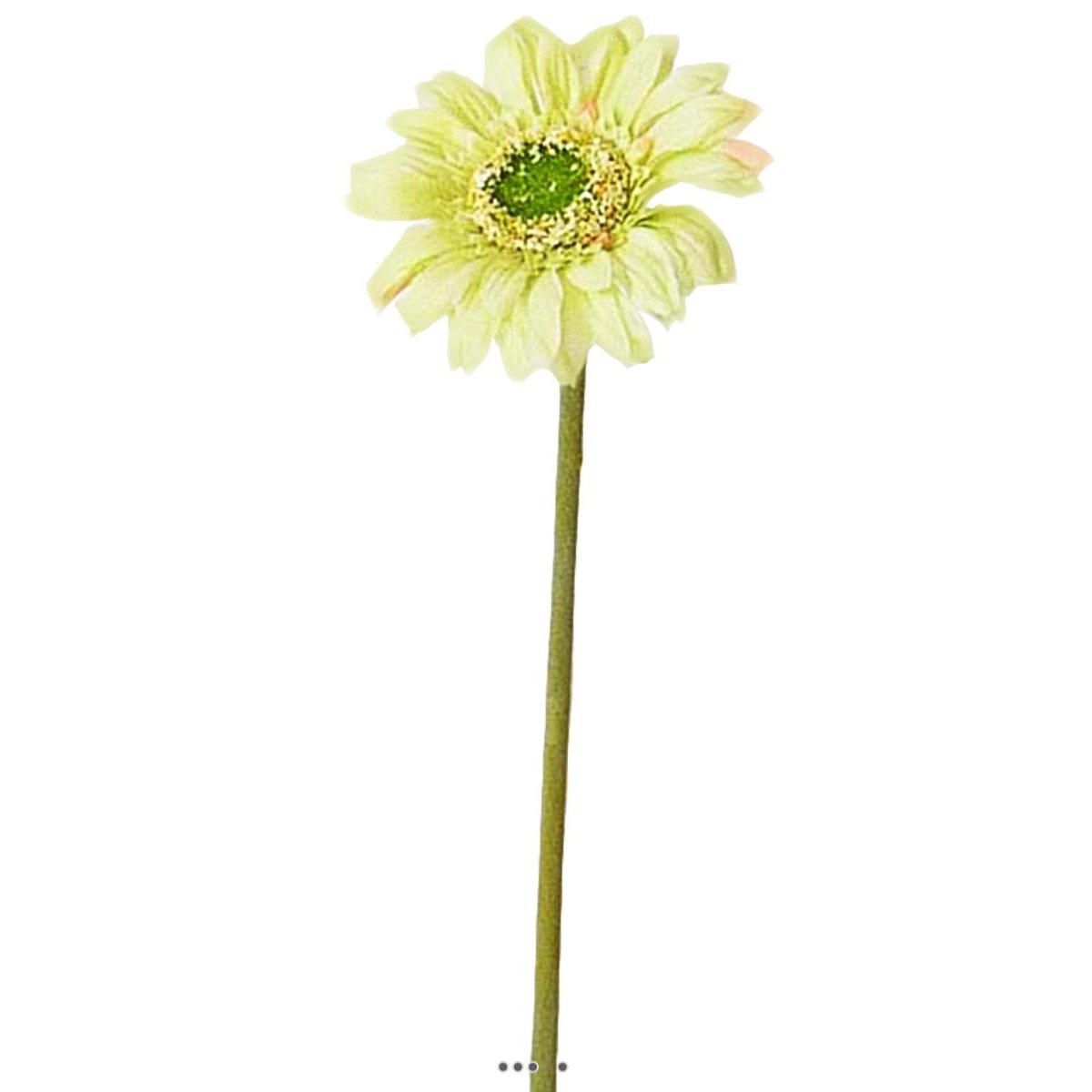 Gerbera artificiel H 48 cm D 8 cm superbe Crè crème vert, ARTIFICIELLES