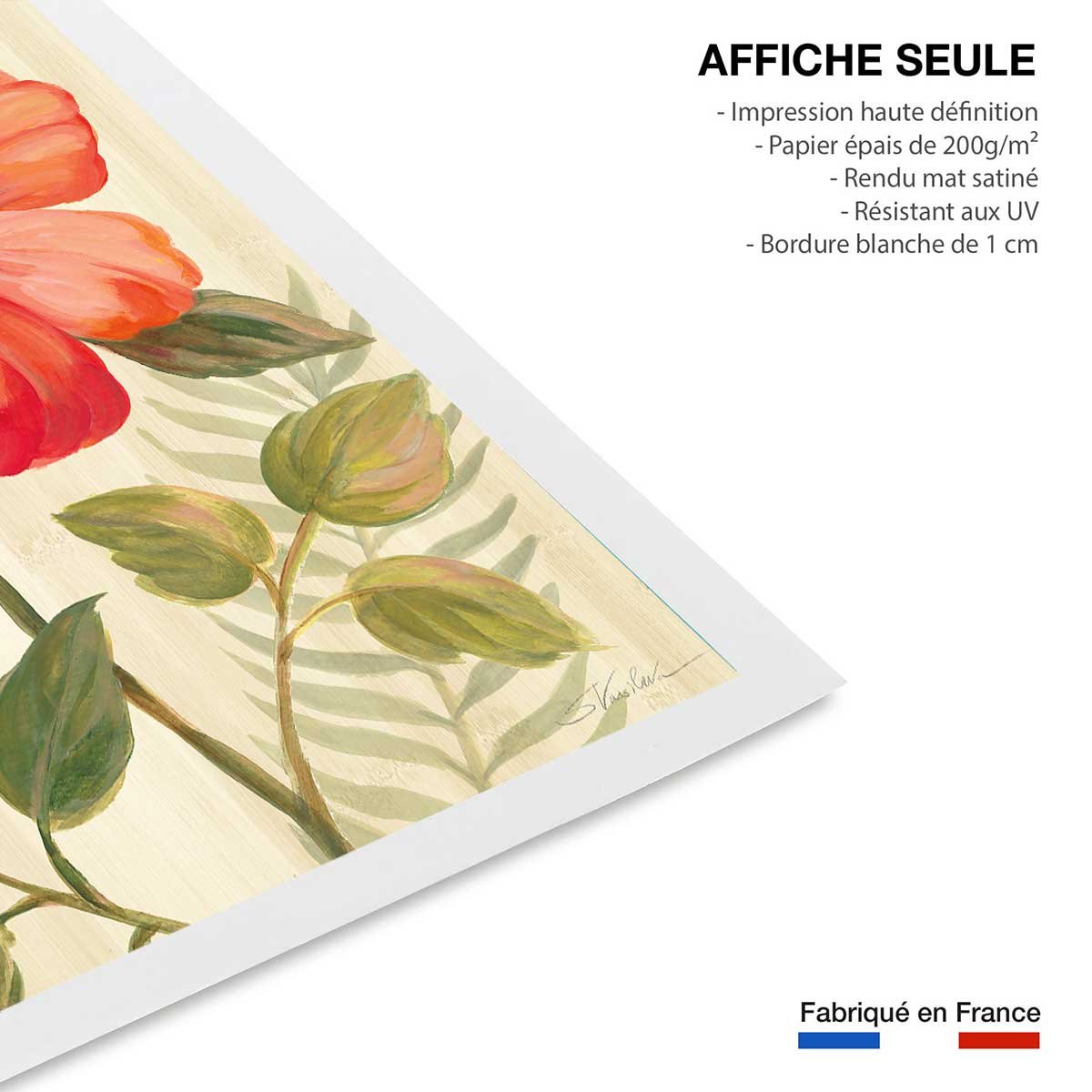Poster Diamant d'hibiscus affiche seule, HEXOA