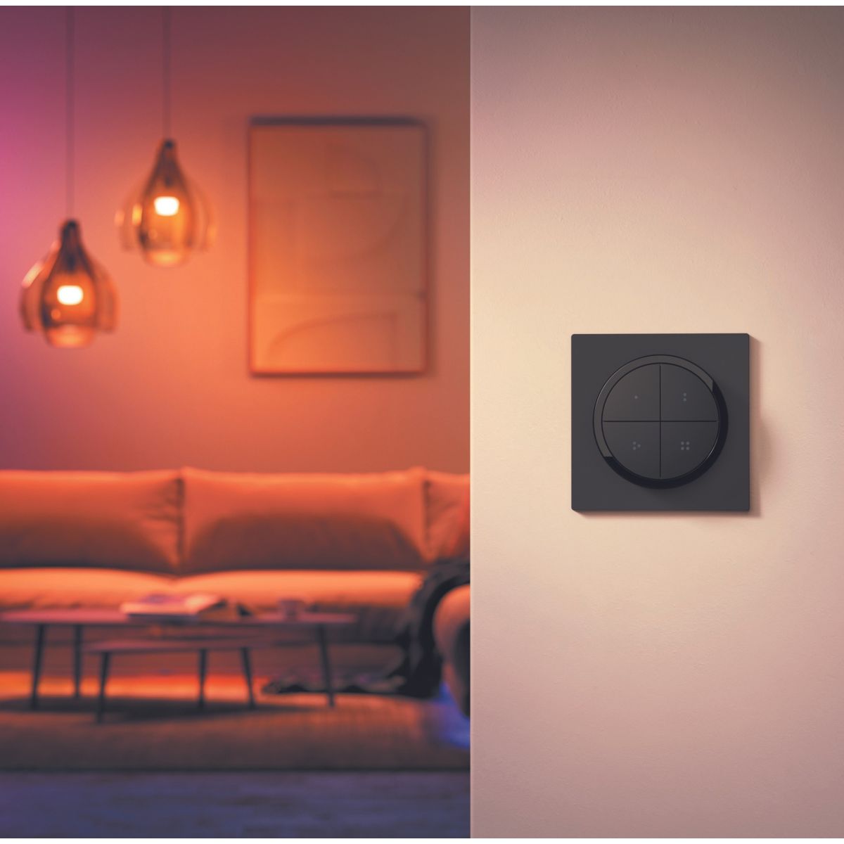 Interrupteur Tap dial switch Noir noir, PHILIPS HUE
