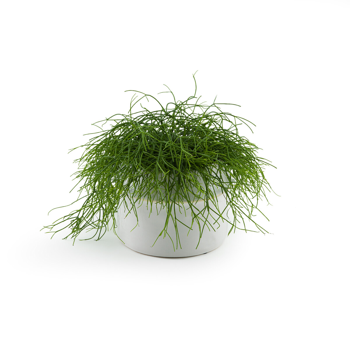 Filipio 25cm Diameter Ceramic Flower Pot white, LA REDOUTE INTERIEURS