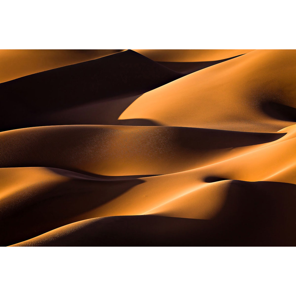 Tableau dune et lumière tableau alu dibond, HEXOA