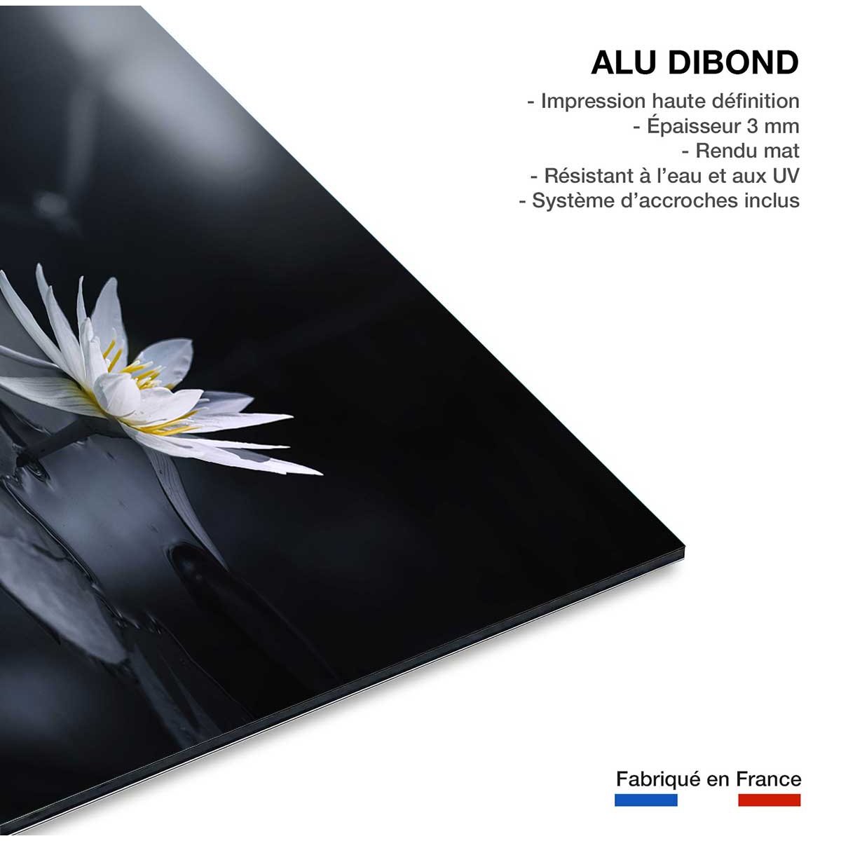 Tableau fleurs Alba nénuphar tableau alu dibond, HEXOA