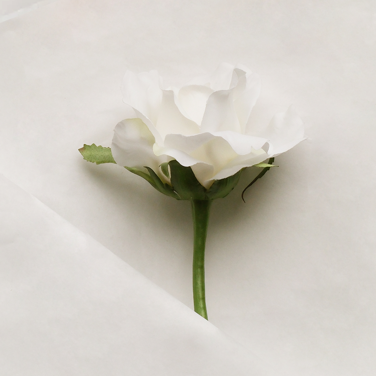 Tige de rose waterproof fermée artificielle H32 blanc, SIA DECO